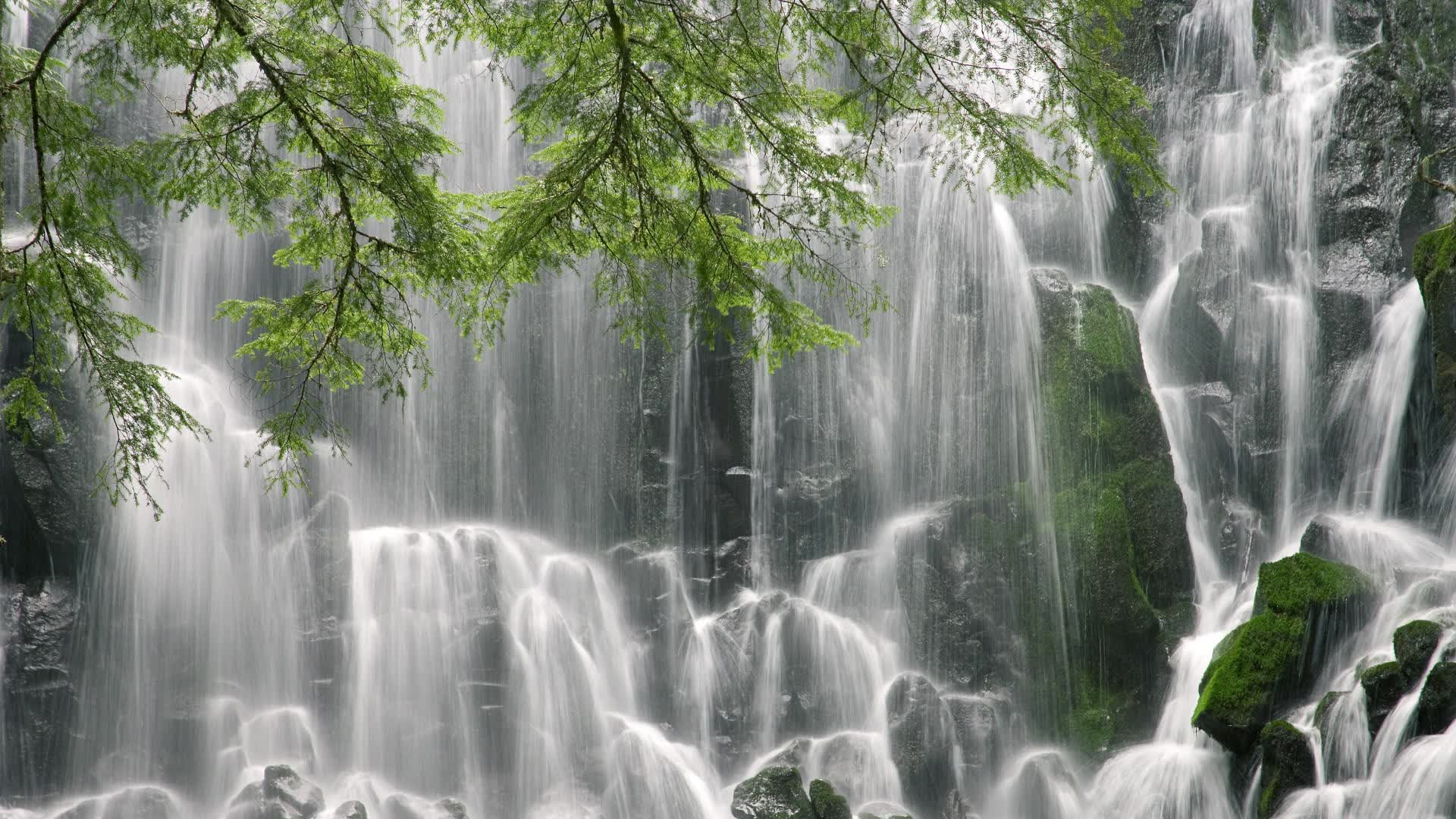 世界体能恢复科研样本库合规共享平台功能扩展公告,国际体能训练